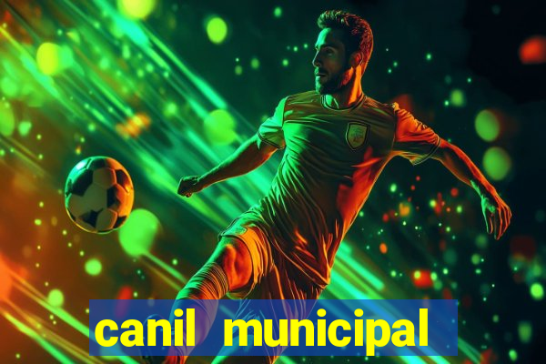 canil municipal porto alegre